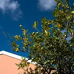 Hotel Mounda Retreat Skala (Kefalonia)
