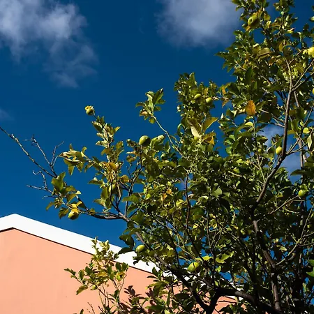 Hotel Mounda Retreat Skala (Kefalonia)